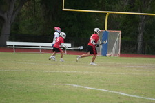 Enlarge photo 309