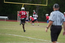 Enlarge photo 312
