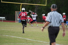 Enlarge photo 313