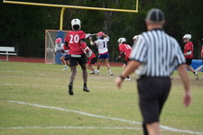 Enlarge photo 314