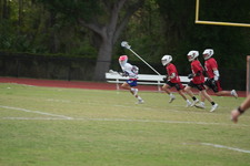 Enlarge photo 316