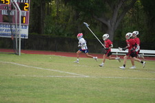 Enlarge photo 319