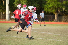 Enlarge photo 325