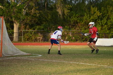 Enlarge photo 329
