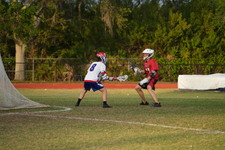 Enlarge photo 333