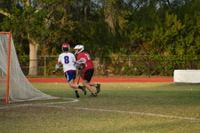 Enlarge photo 338