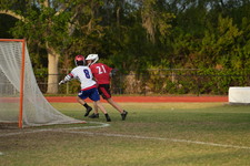 Enlarge photo 337