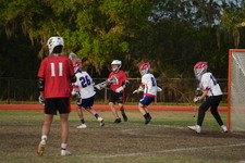 Enlarge photo 342