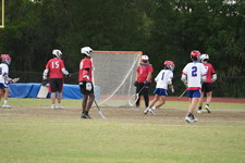 Enlarge photo 353