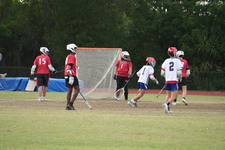 Enlarge photo 355