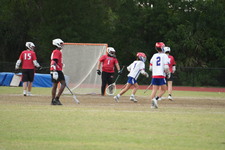 Enlarge photo 356