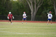 Enlarge photo 371