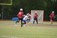 Enlarge photo 421