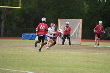 Enlarge photo 419