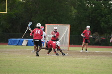 Enlarge photo 422
