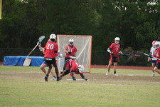 Enlarge photo 423