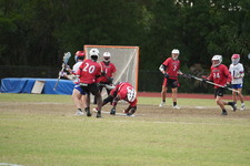 Enlarge photo 425