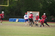 Enlarge photo 426