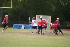 Enlarge photo 427