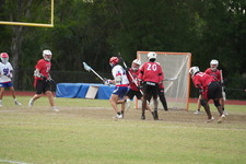 Enlarge photo 428