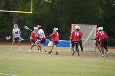 Enlarge photo 432