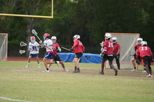 Enlarge photo 435