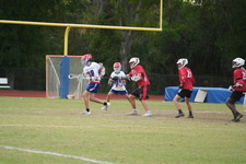 Enlarge photo 439