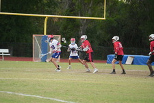Enlarge photo 440