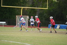 Enlarge photo 442