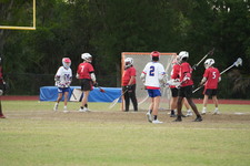 Enlarge photo 445