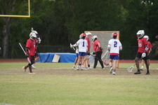 Enlarge photo 453
