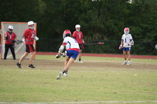Enlarge photo 462