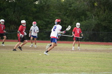 Enlarge photo 471