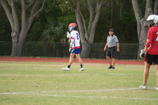 Enlarge photo 473