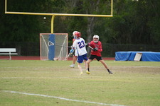 Enlarge photo 484