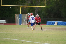 Enlarge photo 483