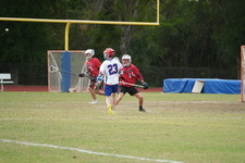 Enlarge photo 485