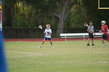 Enlarge photo 489