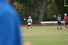 Enlarge photo 491