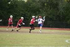Enlarge photo 497