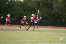 Enlarge photo 499