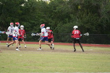 Enlarge photo 507