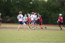 Enlarge photo 509