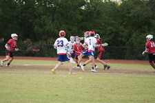 Enlarge photo 510