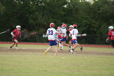 Enlarge photo 511