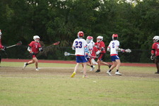 Enlarge photo 513
