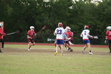 Enlarge photo 512
