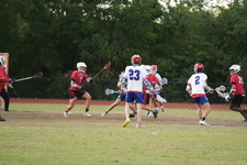 Enlarge photo 515