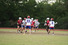 Enlarge photo 516