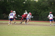 Enlarge photo 521